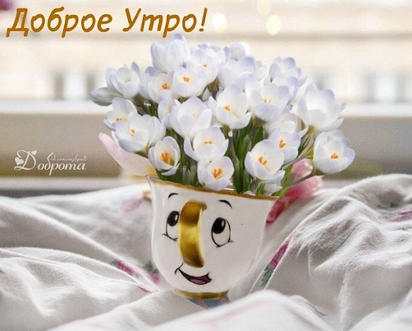 Открытки Веселые и добрые