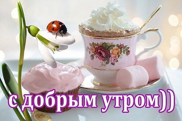Картинки доброе утро весна позитивные с надписями (61 фото)