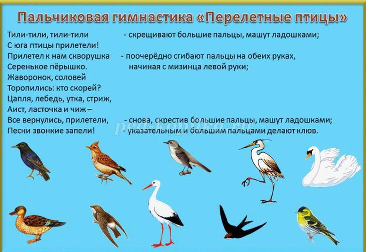 Тема недели птицы весной младшая группа