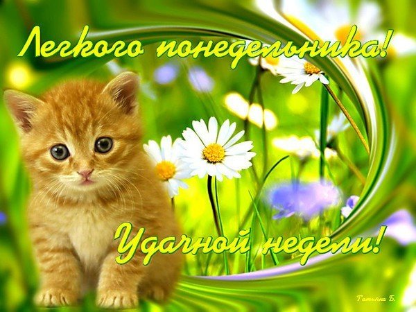 Хорошего понедельника и отличного настроения