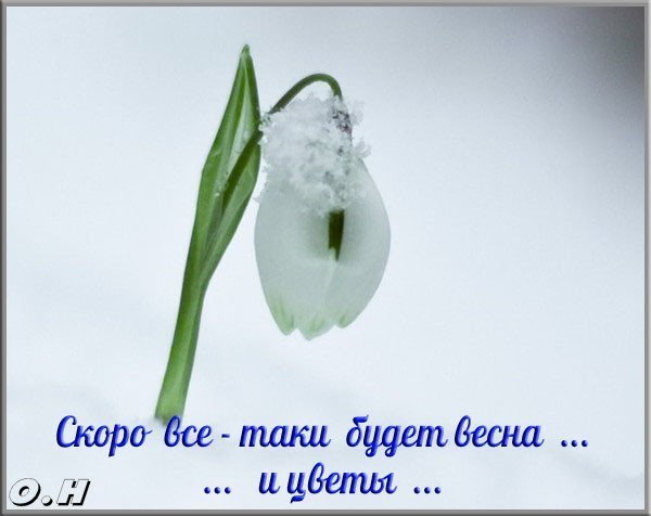 Скорей бы Весна