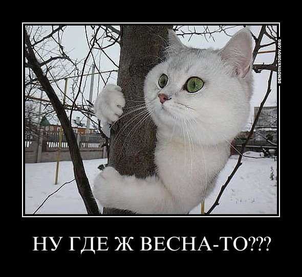 Приколы про зиму и весну