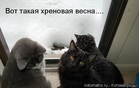 Смешное про весну