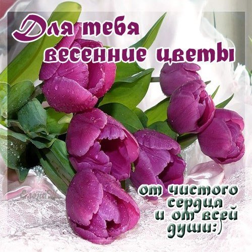Весенние цветы с пожеланиями
