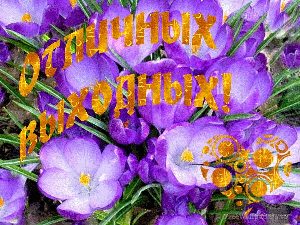 Отличных весенних выходных