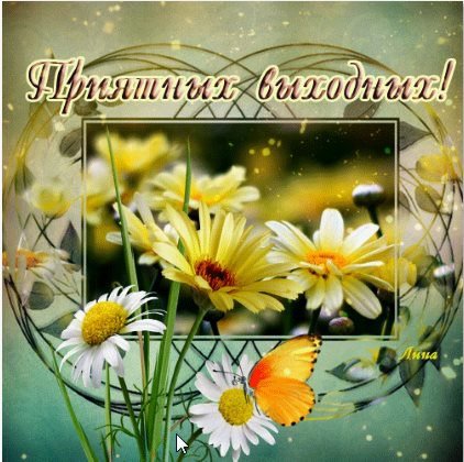 Прекрасных солнечных выходных