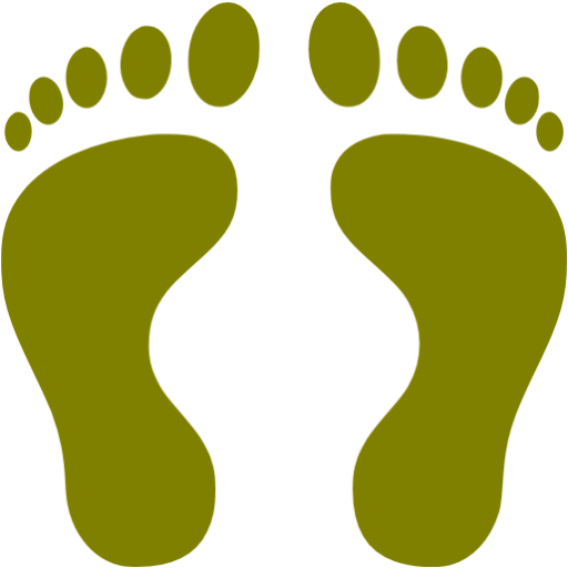 Медвежьи следы на снегу