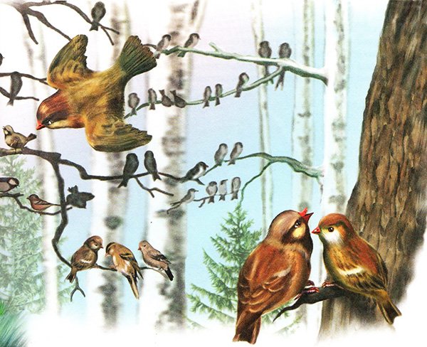 Синичкин календарь Бианки апрель