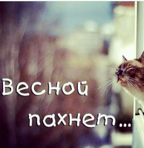 Чувствуете весной пахнет