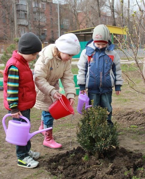 Посадка деревьев около реки