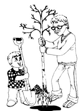 Раскраски по экологии