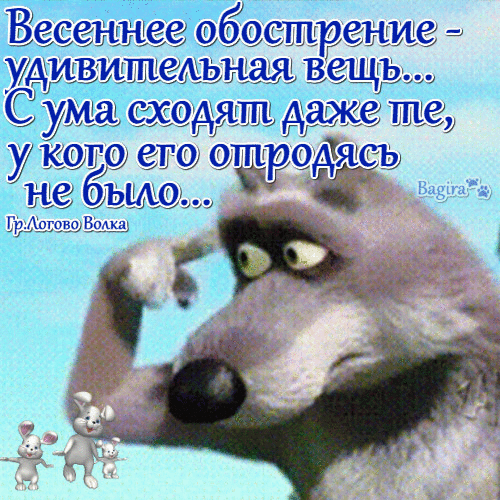 Весеннее обострение удивительная вещь с ума сходят даже те