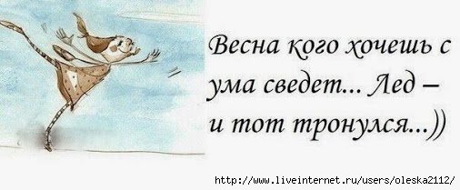 Кот сошел с ума