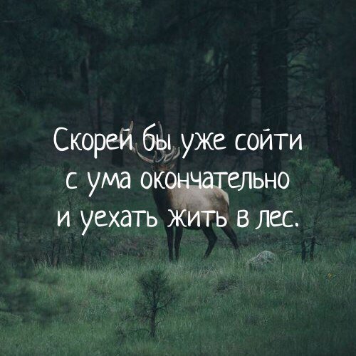 Котоматрица Весна- пришла