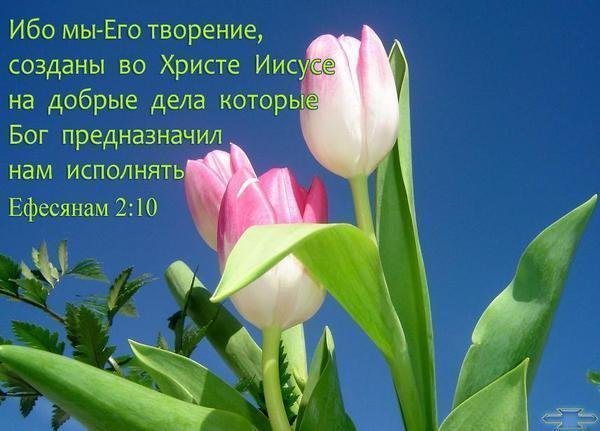 Жизненные пожелания с добрым утром