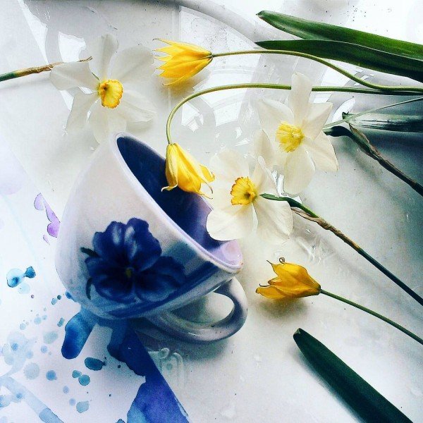 С добрым утром нарциссы