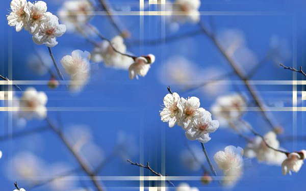 Весенний фон для сайта бесшовный