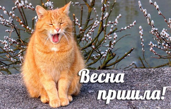 Весна пришла
