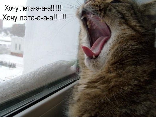 Лето уже хочется
