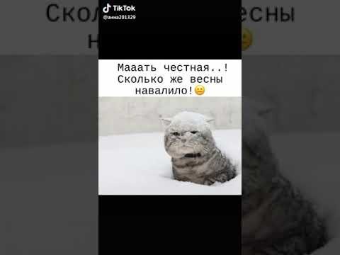 Почти Весна чуть чуть мешает метр