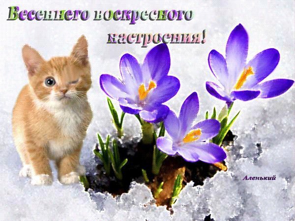 Открытки прекрасного воскресенья