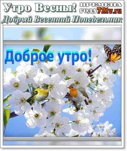 Отличной недели Весна