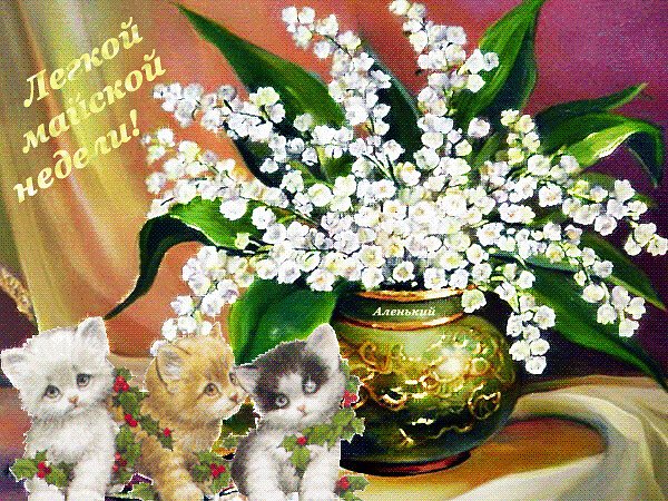 Картинки доброго понедельника весна (53 фото)