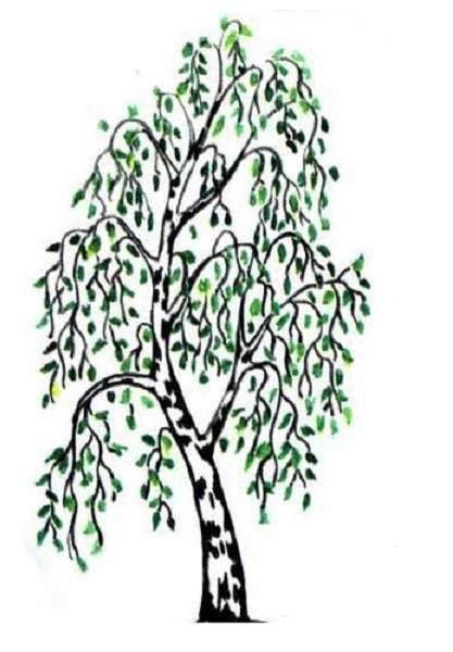 Рисование в старшей группе на тему лето