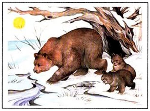 Медведи весной для дошкольников