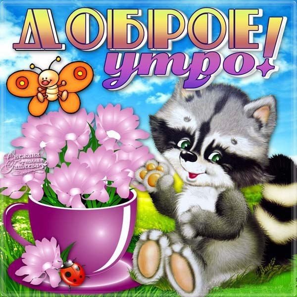 Открытки с добрым утречком Веселые