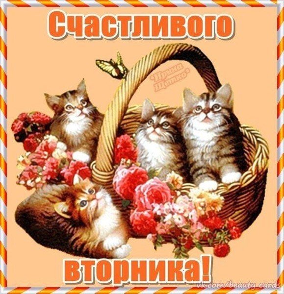 Счастливого летнего вторника