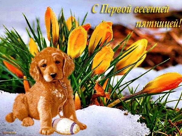 Добрые весенние пожелания