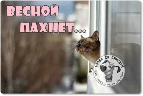 Весной пахнет прикольные