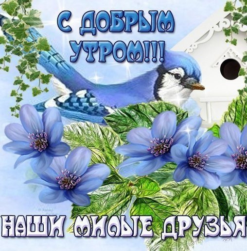 С добрым весенним утром среды