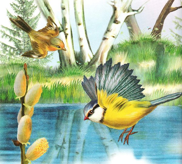 Василий Белов скворцы скворечник