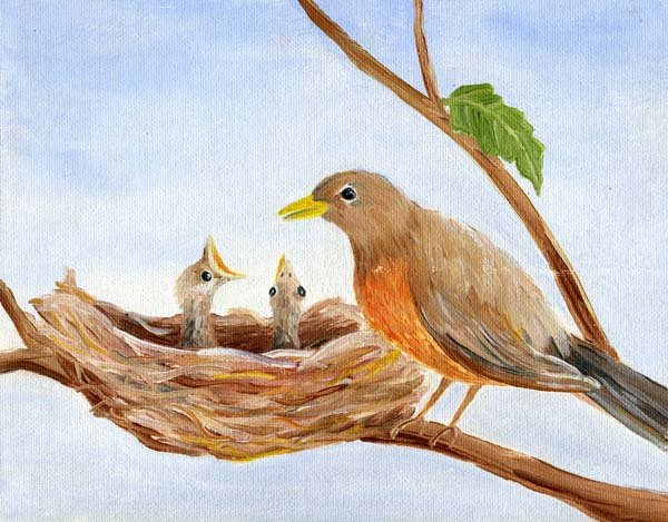 Иллюстрации перелетных птиц