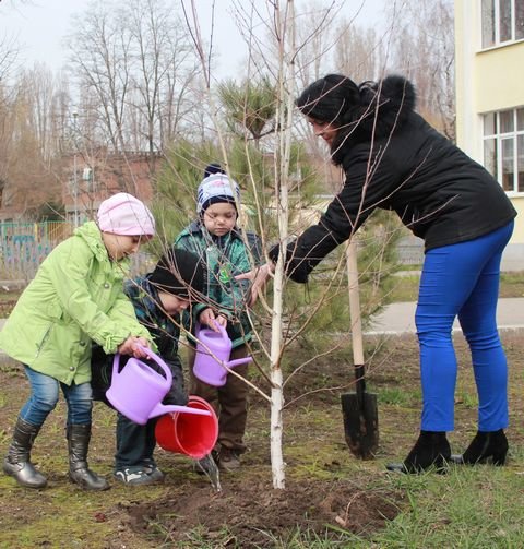 Высадка деревьев детьми
