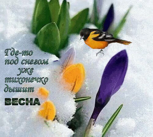 Весеннего настроения пожелания