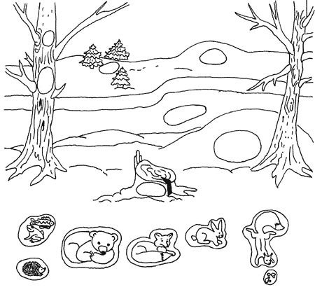 Звери зимой задания для дошкольников