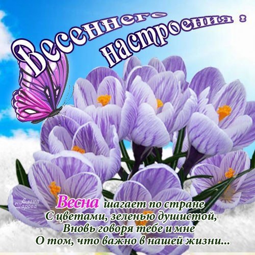 Доброе утро Весна