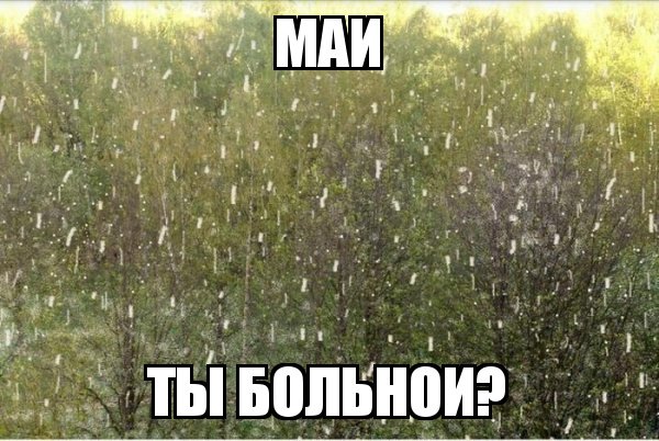 Шутки про снег весной