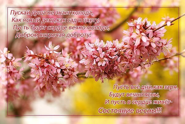 Весны в душе стихи