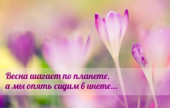 Весенние картинки со смыслом