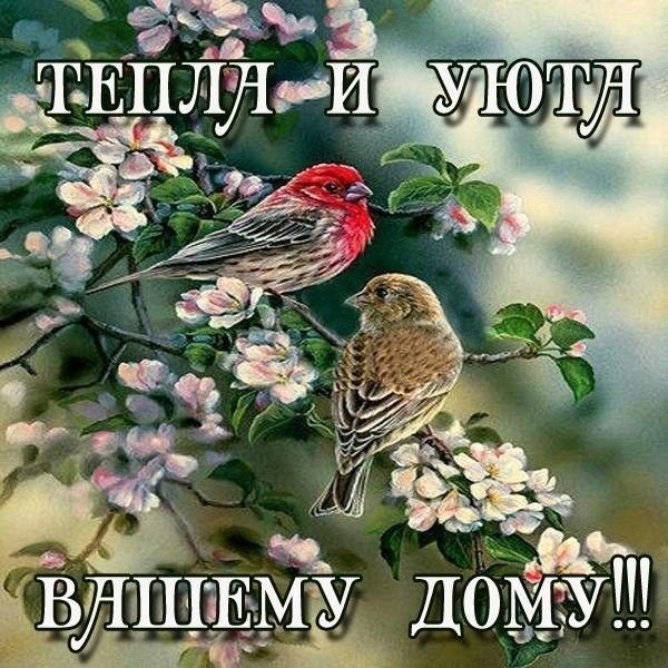 Весна птички