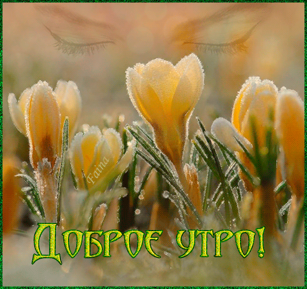 С добрым весенним утром