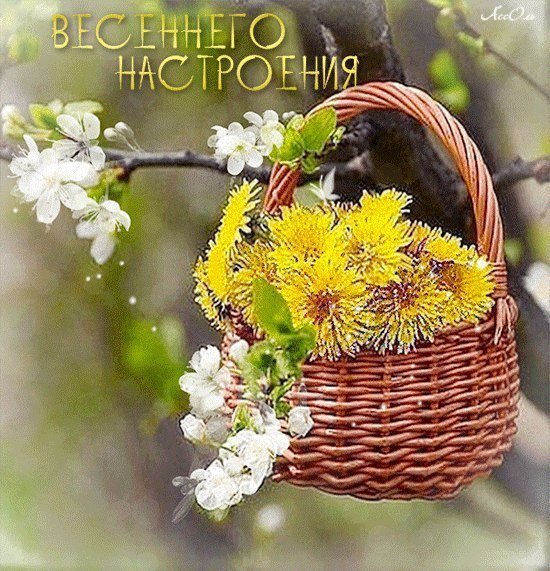 Весны в душе и счастья в жизни