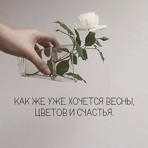 Открытка ждем весну