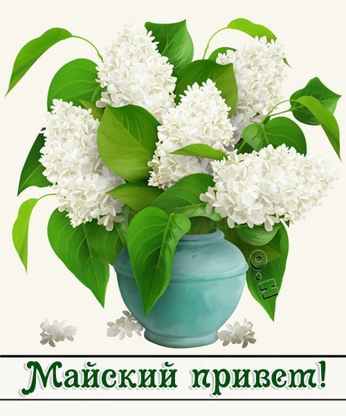 Открытки Майский привет