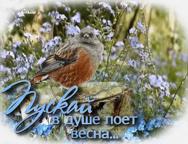 Чудесной весны