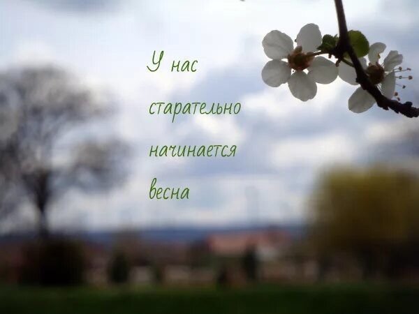 Высказывания о весне
